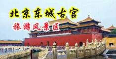 舔女人骚逼视频中国北京-东城古宫旅游风景区